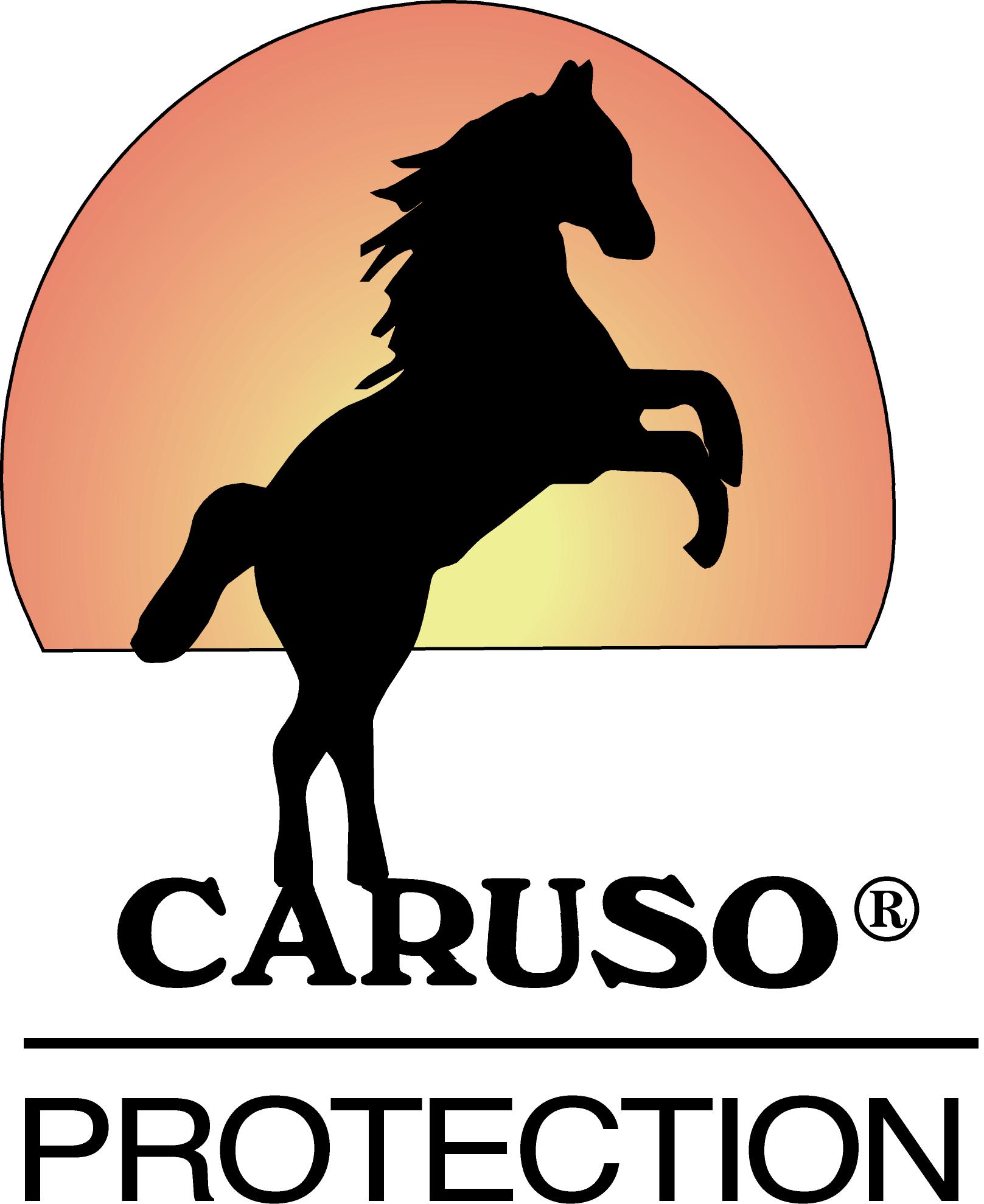CarusoProtection300