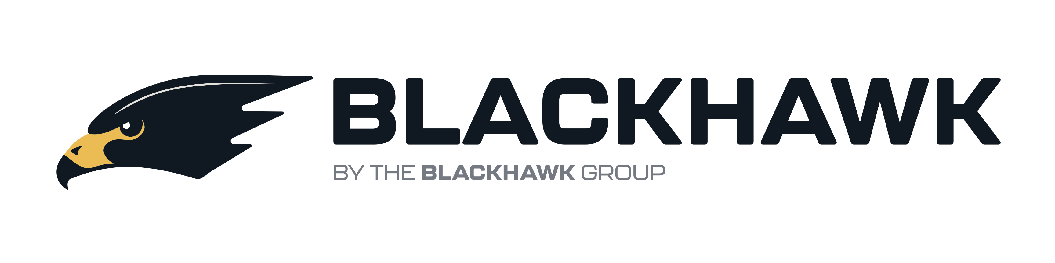 Blackhawk-TBG-FullColor-RGB